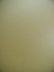 Four Seasons with Lines